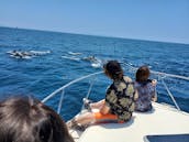 Exclusive Los Angeles Boat Excursions! Marina del Rey, Santa Monica, & Malibu!