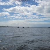 Alquiler de motos acuáticas con recorrido libre en Cape Coral, Matlacha o Fort Myers Beach