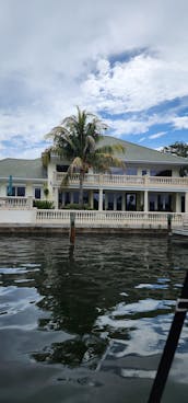 Dolphin & Manatee Sightseeing Cruise in Melbourne/Cocoa Beach