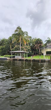 Dolphin & Manatee Sightseeing Cruise in Melbourne/Cocoa Beach