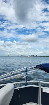 Dolphin & Manatee Sightseeing Cruise in Melbourne/Cocoa Beach