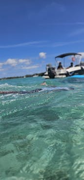 Bayliner Element E16 para sua aventura de barco em Miami Beach! ⛵️