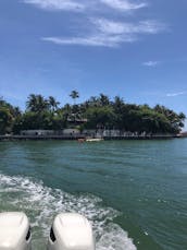 Excursão de barco a motor Formula em Miami/Miami Beach/Haulover Sandbar