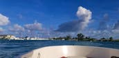 Bayliner e16 Best Boating Location in Miami + Parking included!