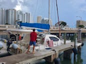 Luxurious and Spacious 38ft Sailing Catamaran in Miami, Florida!