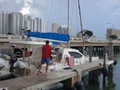 Catamarán de lujo ubicado en el centro de Miami