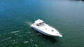 Beautiful Sea Ray Yacht in Miami 😍