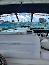 🛥 Sea Ray 42ft || 🎉 ASK FOR THE FREE HOUR 🎉