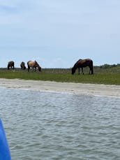 私たちのボート、あなたの一日、心に残る思い出！