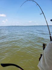 25' Seapro Fishing Charters - Fun for Everyone! Charleston & Mount Pleasant, SC