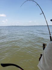 25' Seapro Fishing Charters - Fun for Everyone! Charleston & Mount Pleasant, SC