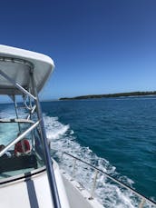 Excursão de 32” pela ilha Proline 4 com snorkeling