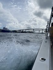 35ft Marlin for Charter Snorkeling, pigs, turtles & more Nassau, Bahamas