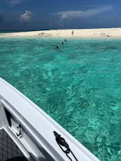 Porcos nadadores e snorkel na praia em família 