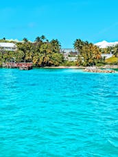 Mergulho com snorkel e. Aventura de tartaruga no iate Bertram Motor de 43 pés em Nassau, Bahamas