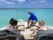 Visites privées de luxe, cochons et tortues de Rose Island