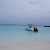 Nassau : cochons nageurs, plongée en apnée, visite d'île en île, excursion privée en bateau