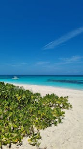 Amazing Snorkel with Turtles aboard 32” Proline Center Console