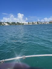 Amazing Snorkel with Turtles aboard 32” Proline Center Console