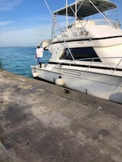 58' Striker Sport Fisher - Deep Sea Fishing  in Nassau