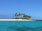 Nassau: Luxury tours ; turtles, pigs, snorkeling, beach time.Platinum Experience