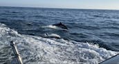 Yacht de croisière de 52 pieds pour 12 personnes à Newport Beach, en Californie