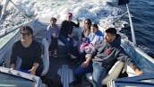 ⚓️ 40フィートシーレイラグジュアリーヨットハーバークルーズ、エメラルドベイ、カリフォルニアコースト