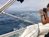 ⚓️40ft Sea Ray Luxury Yacht Harbor Cruise, Emerald Bay, So Cal Coast & Catalina Island!