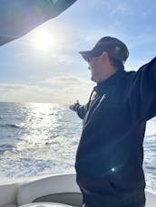 Sea Ray Sundancer 28' Yacht Newport Beach