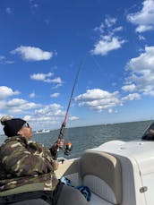 Stingray Deck Boat in Myrtle Beach, South Carolina