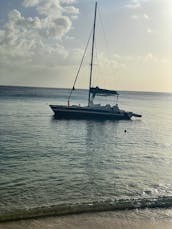 The 30ft in Cruises at Barbados