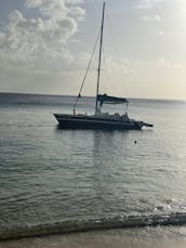 The 30ft in Cruises at Barbados