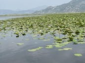 Excursions en bateau sur le lac Skadar à Virpazar, Monténégro