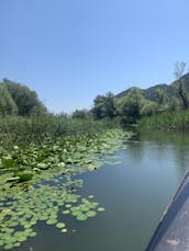 Paseos en barco por el lago Skadar en Virpazar, Montenegro