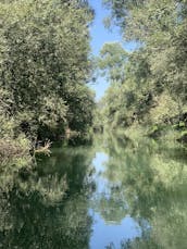 Excursions en bateau sur le lac Skadar à Virpazar, Monténégro