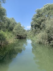 Excursions en bateau sur le lac Skadar à Virpazar, Monténégro