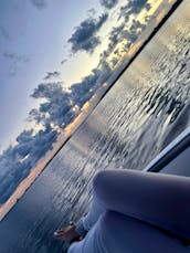 Island Hopping | Dolphin Watching | Sightseeing | Parties | Sunset - Performance Boat Tours (Orange Beach / Perdido Key)
