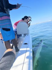 Seapro 228 Sandbars/Fishing/Tubing in Florida