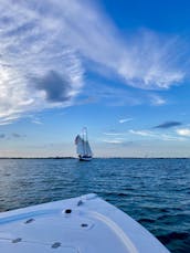 Seapro 228 Barres de sable/pêche/tubing en Floride