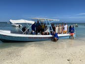 Enjoy Diving in Oranjestad, Aruba