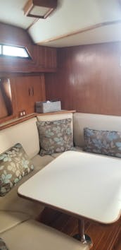1987 President 40ft Motor Yacht!! Instagramable Private Yacht Experience