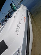 259 Splendor Platinum Cuddy Boat on Orlando Lakes!!