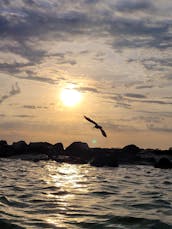 Private Sunset, Dolphin Tours, and Fishing Trips in Panama City Beach