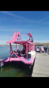 Incredible 40ft Pink Party Barge in Peoria, Arizona