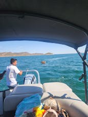 15 Passengers Bentley Tritoon with 250 Hp Motor at Lake Pleasant