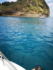 Sailing Tours/ Day Sailing Dufour39cc  Ponta Delgada, Azores