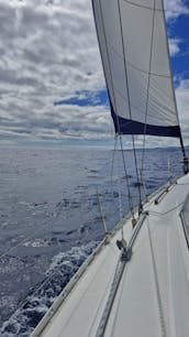 Half-Day  Sailing Dufour 39cc Ponta Delgada, Açores