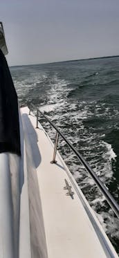 Family Yacht Sea Ray 340 in Virginia Beach area. Poquoson Va