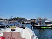 Adventure Cruise in the Upper Bay onboard 31ft Center Console