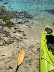 Kayak & SUP Tours in Turks and Caicos Islands